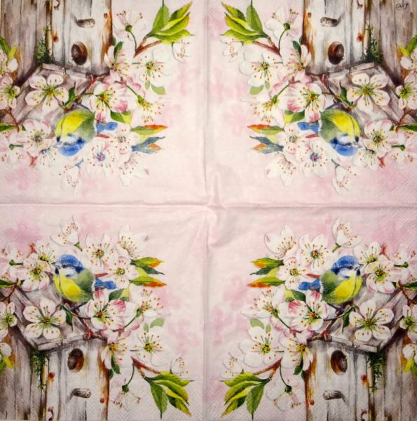 144 Vögel - 3-lagig - Ambiente